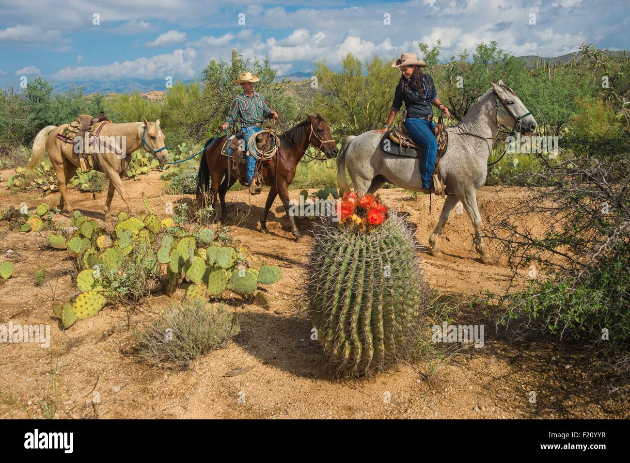 United States, Arizona, Tucson, Tanque verde Ranch, riding a horse