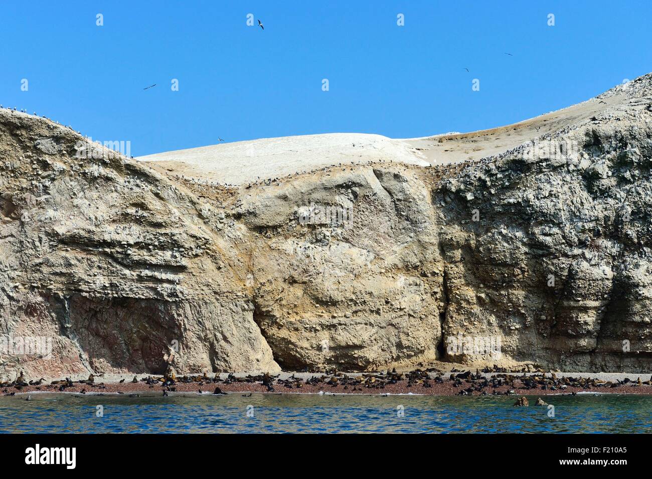 Peru, Pisco Province, Ballestas islands, boat trip across the Paracas National Reserve, bird sanctuary where live many seabird colonies which produce guano used as fertilizer Stock Photo