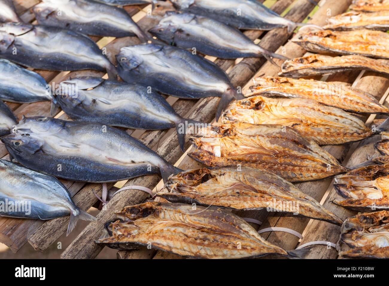 Indonesia, Maluku province, East Seram, Gorom island, dried fishes Stock Photo