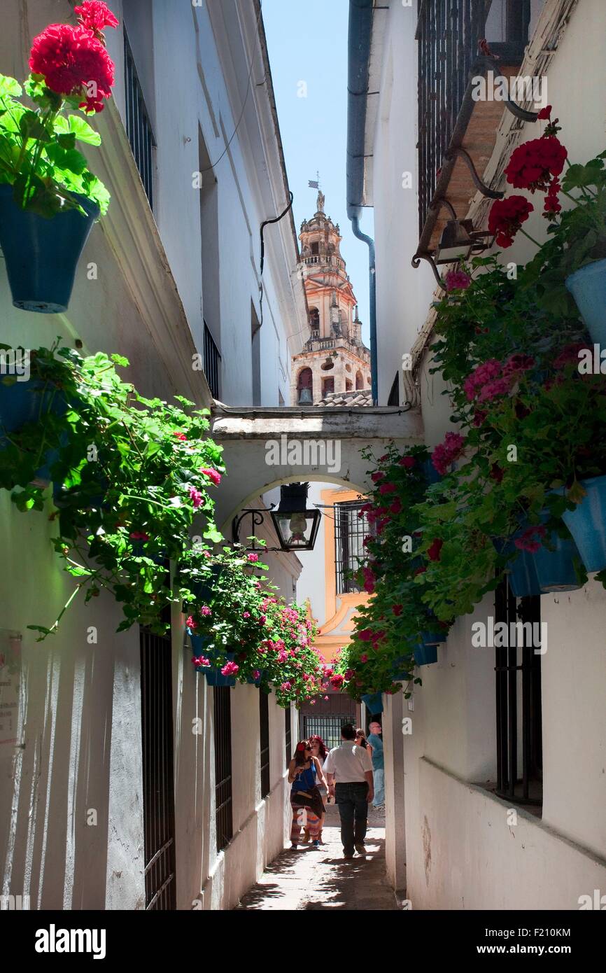 Calle De Las Flores High Resolution Stock Photography And Images Alamy