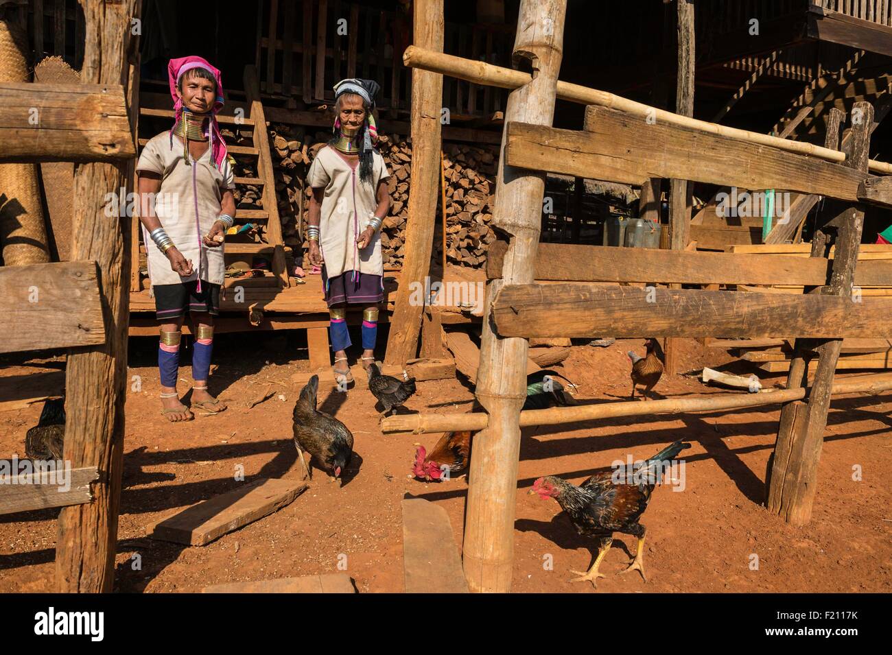 Myanmar (Burma), Kayah state, Kayan tribe (Padaung), Dau Ki (Pan Pat group), Moe Nay et Moe Bone feeding chickens Stock Photo