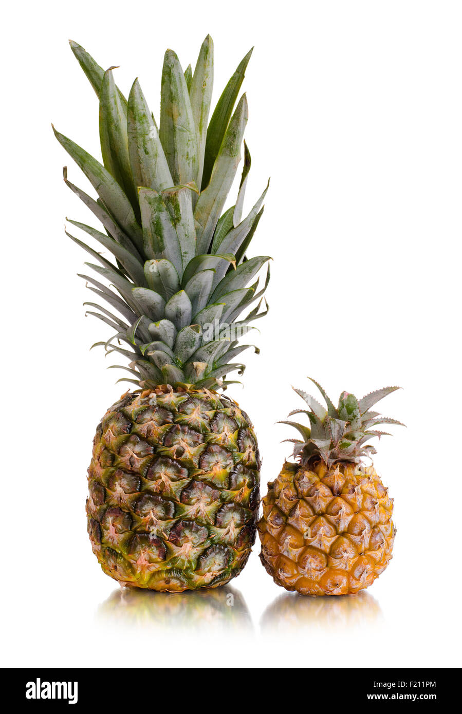 Big pineapple on white background hi-res stock photography and images -  Alamy