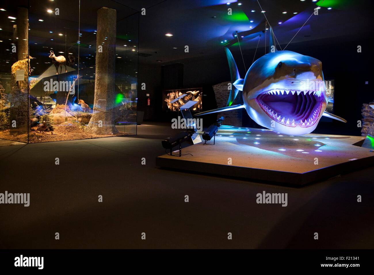 Austria, Upper Austria, Linz, Castle's Museum Stock Photo - Alamy