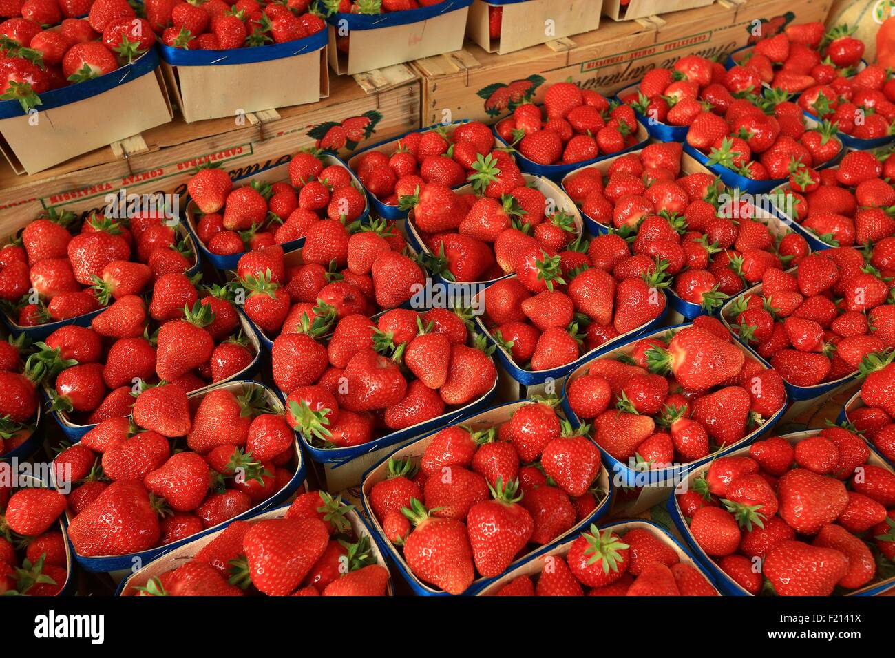 France, Vaucluse, Orange, Republic Square, Thursday market, Carpentras strawberries Stock Photo
