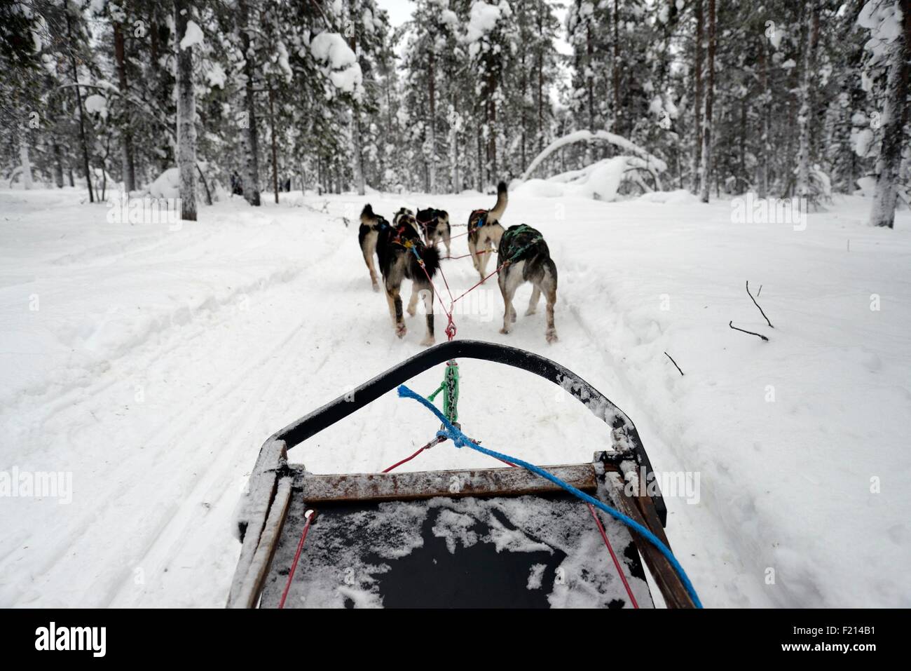 Sled runners hi-res stock photography and images - Alamy