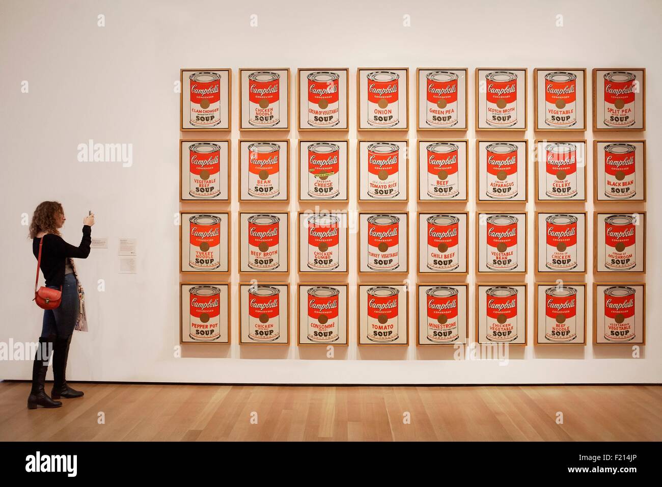 United States, New York, Manhattan, Museum of Modern Art (MOMA), Andy Warhol painting, Camppell's soup can Stock Photo