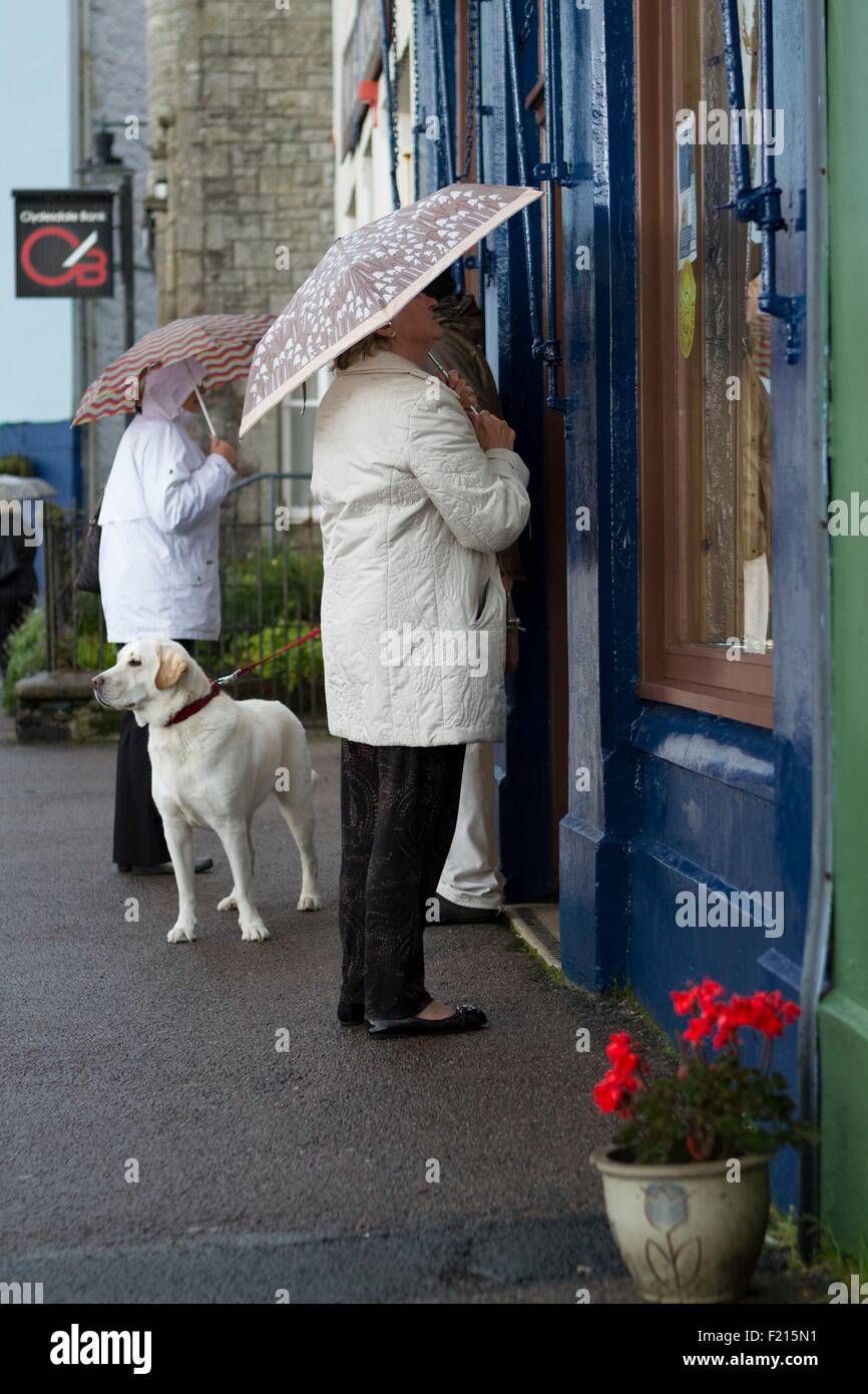 United Kingdom, Scotland, Hebrides, Isle of Mull, Tobermory, two people look at the showcase under the rain, dog looks in the opposite direction, umbrella Stock Photo