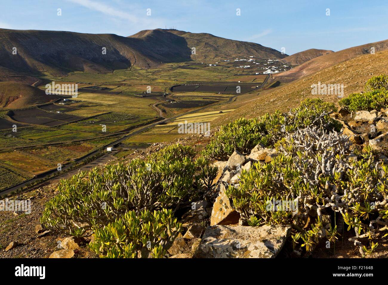 Spain, Canaries Islands, Lanzarote island, valley of Fenauso and Degollada Stock Photo