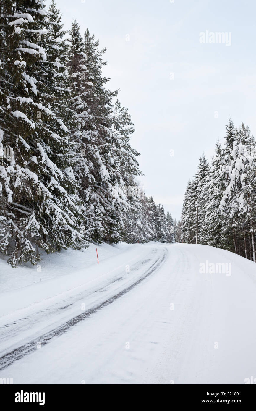 Road in forest at winter Stock Photo - Alamy