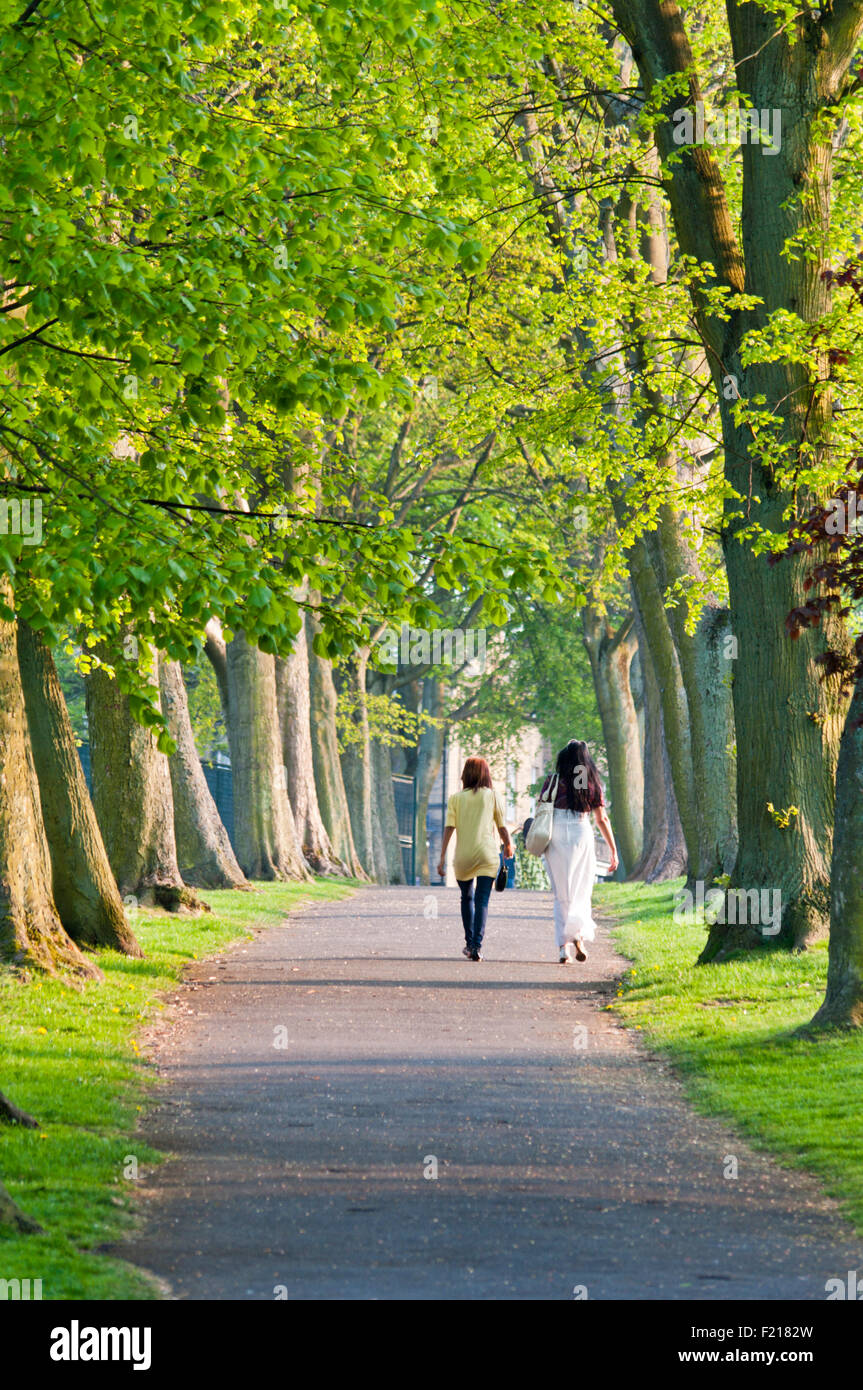 Two Asian women walking along a tree lined park avenue Stock Photo - Alamy