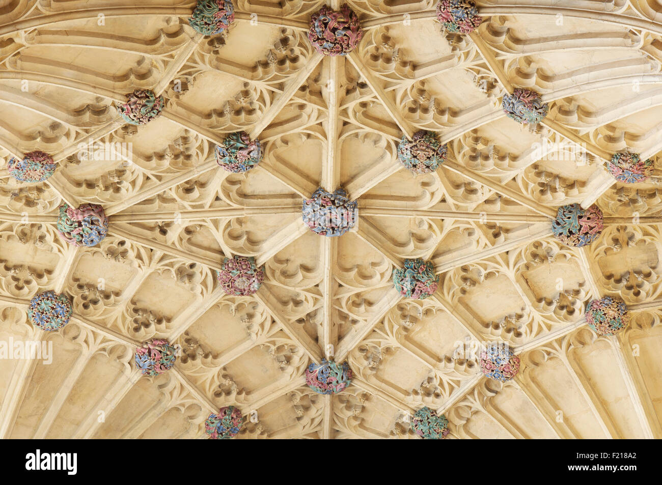 A Detail Of The Colourful Bosses Of The Ornate Gothic Fan
