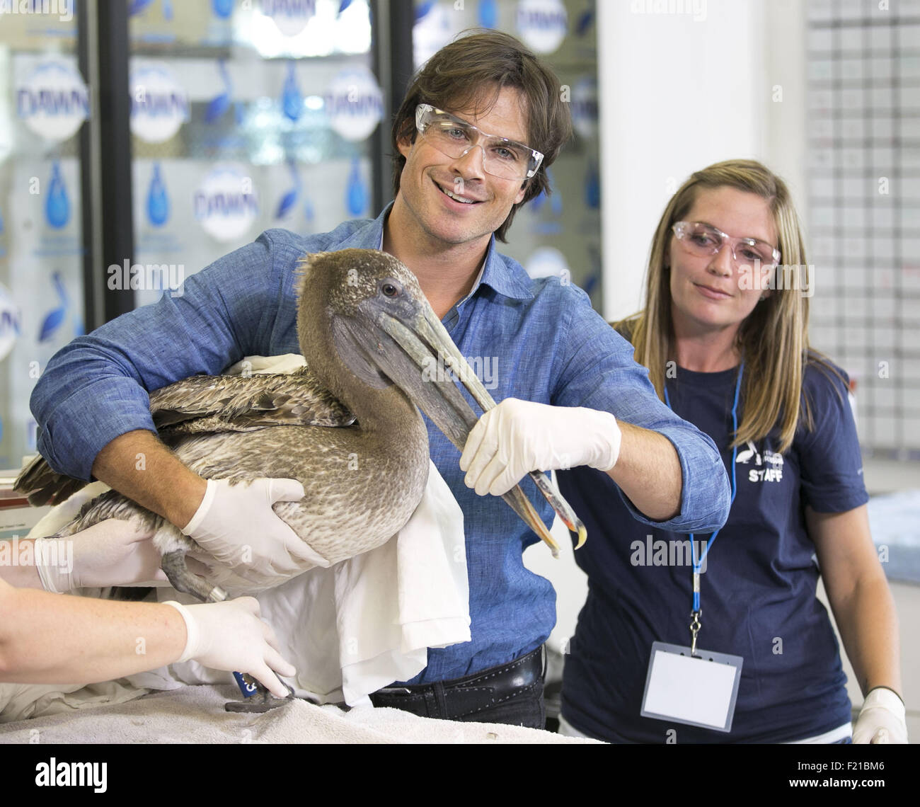 Animal activist actor Ian Somerhalder of “The Vampire Diaries” joins