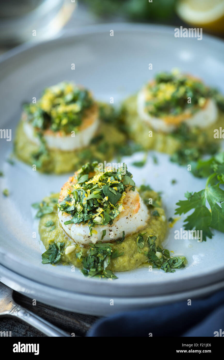 Seared scallops hires stock photography and images Alamy