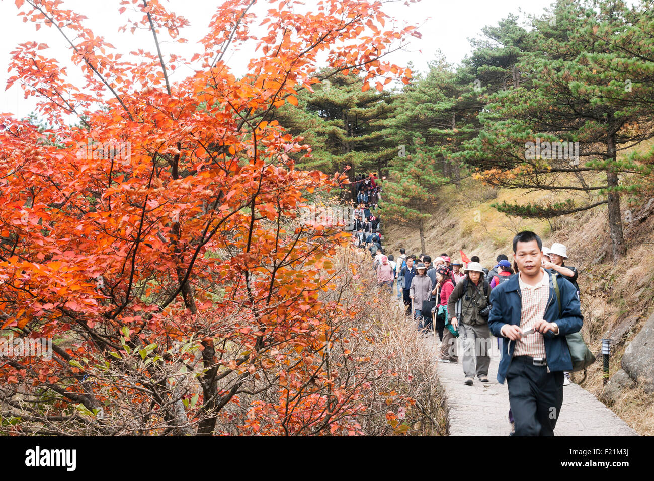 Hikers walking along the Brightness Peak trail on an Autumn day, Yellow Mountain, Huang Shan, UNESCO site, Anhui province, China Stock Photo