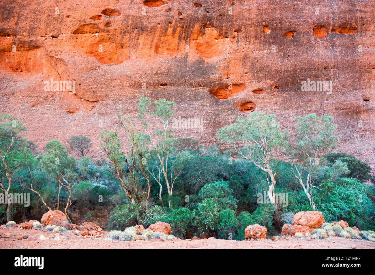 Kata Tjuta / The Olgas, Northern Territory, Australia Stock Photo