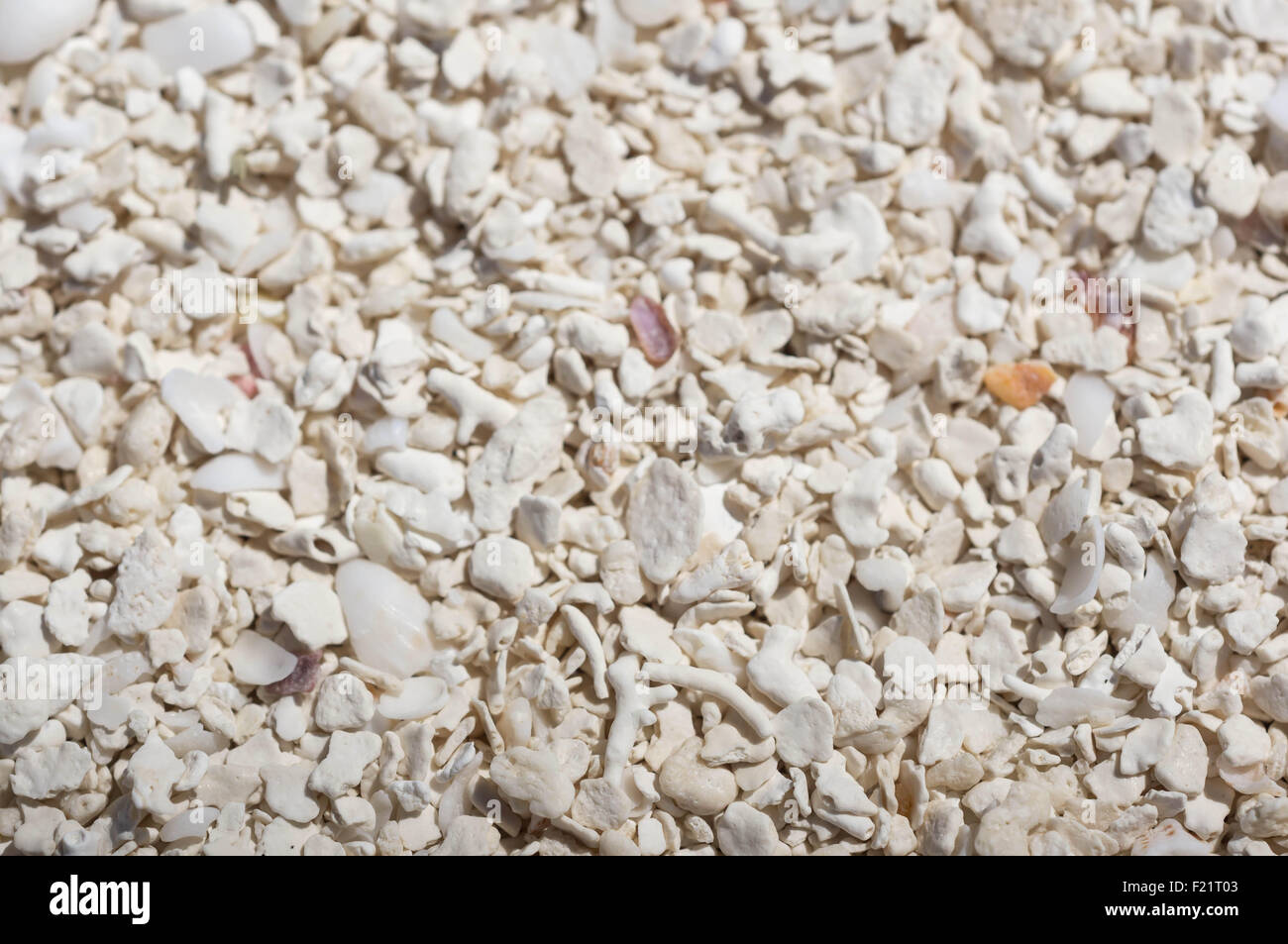 Part Sand Sand background with small parts of shells and coral Stock Photo - Alamy