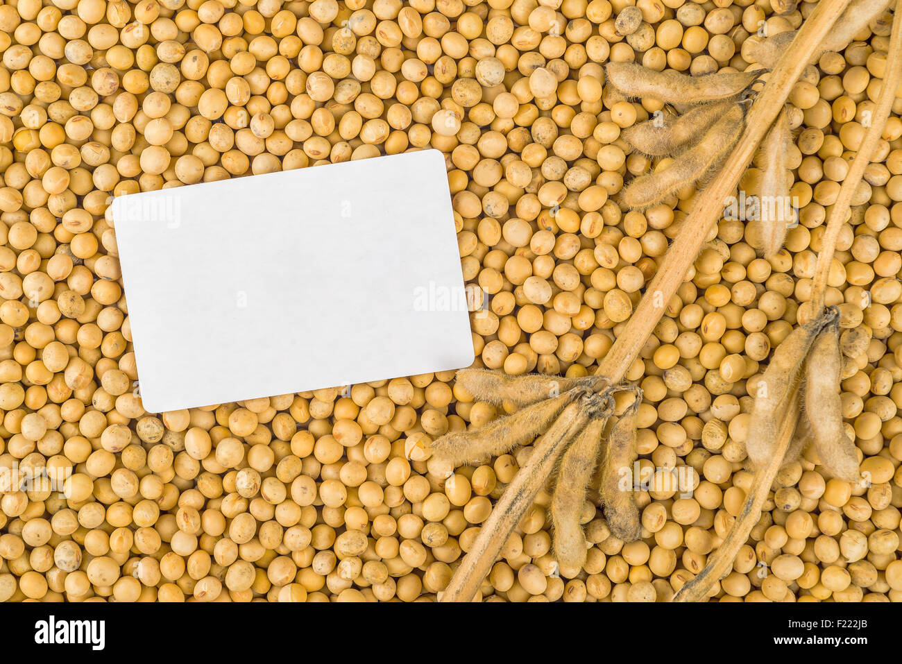 Soya bean plant hi-res stock photography and images - Alamy