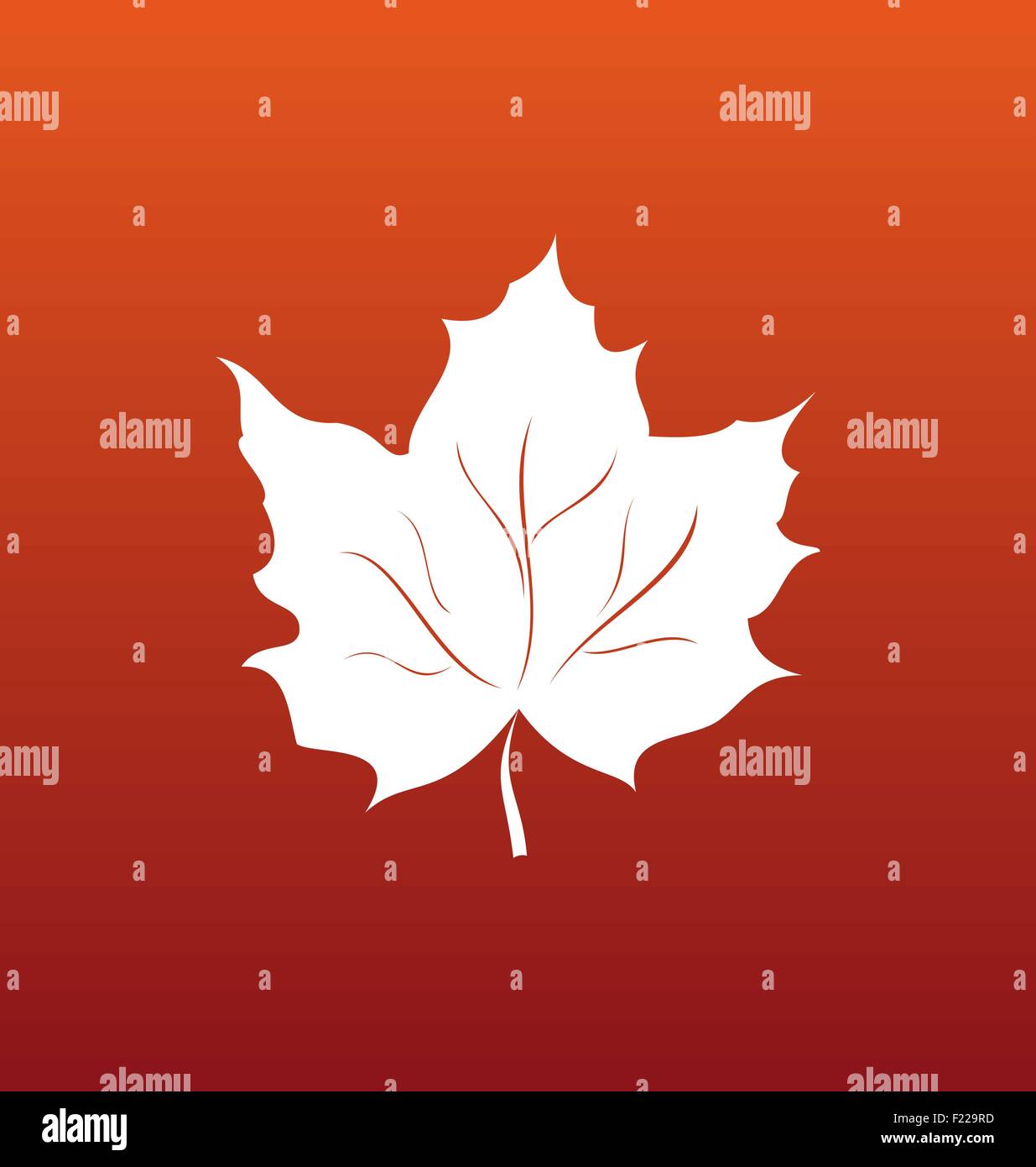 Maple leaf vector illustration Stock Vector Image & Art - Alamy