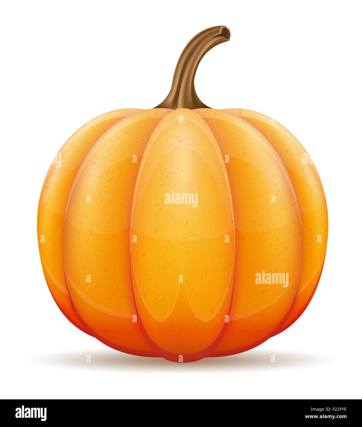 pumpkin vector illustration isolated on white background Stock Vector ...
