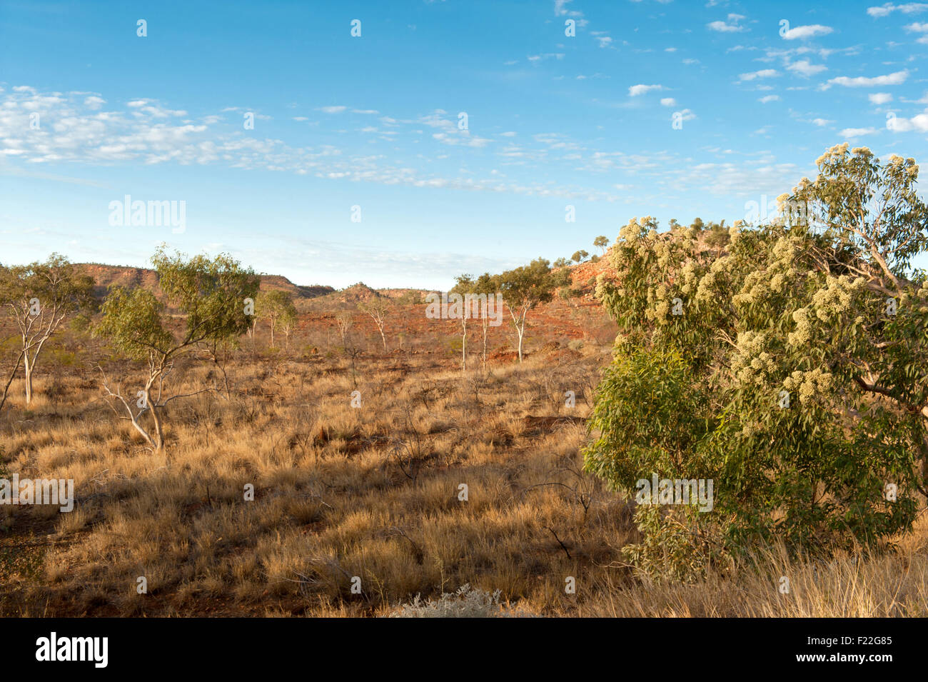 Early evening in the hilly outback of Mount Isa along the Barkly Highway to Cloncurry Stock Photo