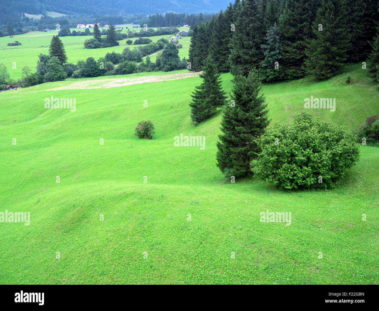 Wald und Wiesen im Allgäu Stock Photo