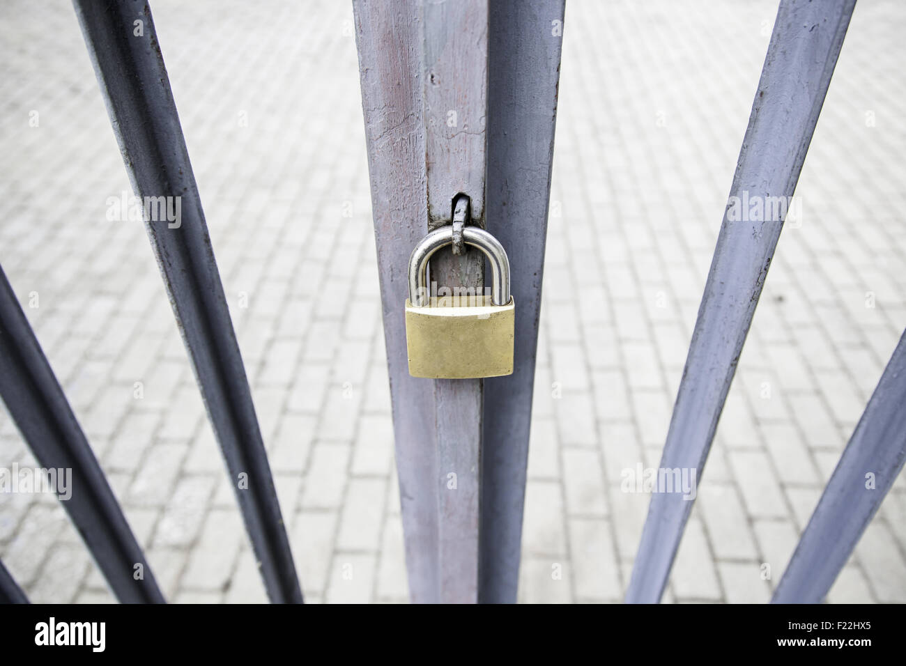 Padlock on a gate, security and protection Stock Photo Alamy