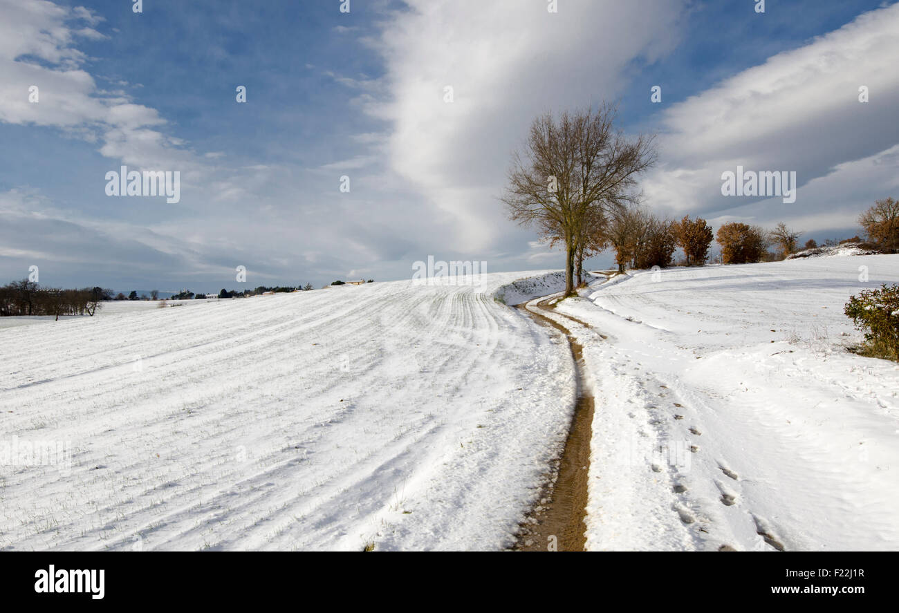 A lonely tree with a white snowy field Stock Photo - Alamy