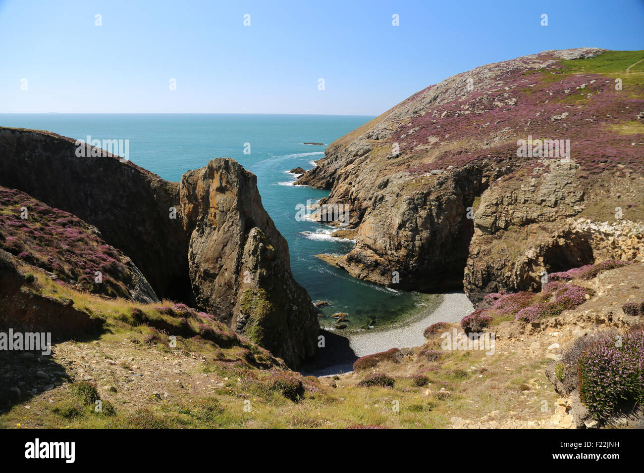 Coastline of Ramsey Island, Pembrokeshire, Wales Stock Photo Alamy