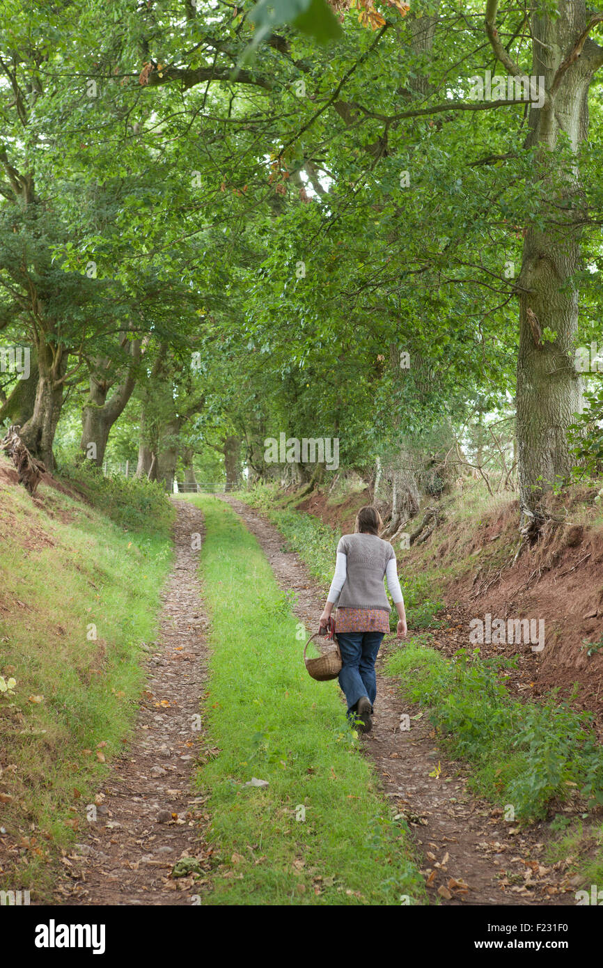 Woman foraging lane hi-res stock photography and images - Alamy