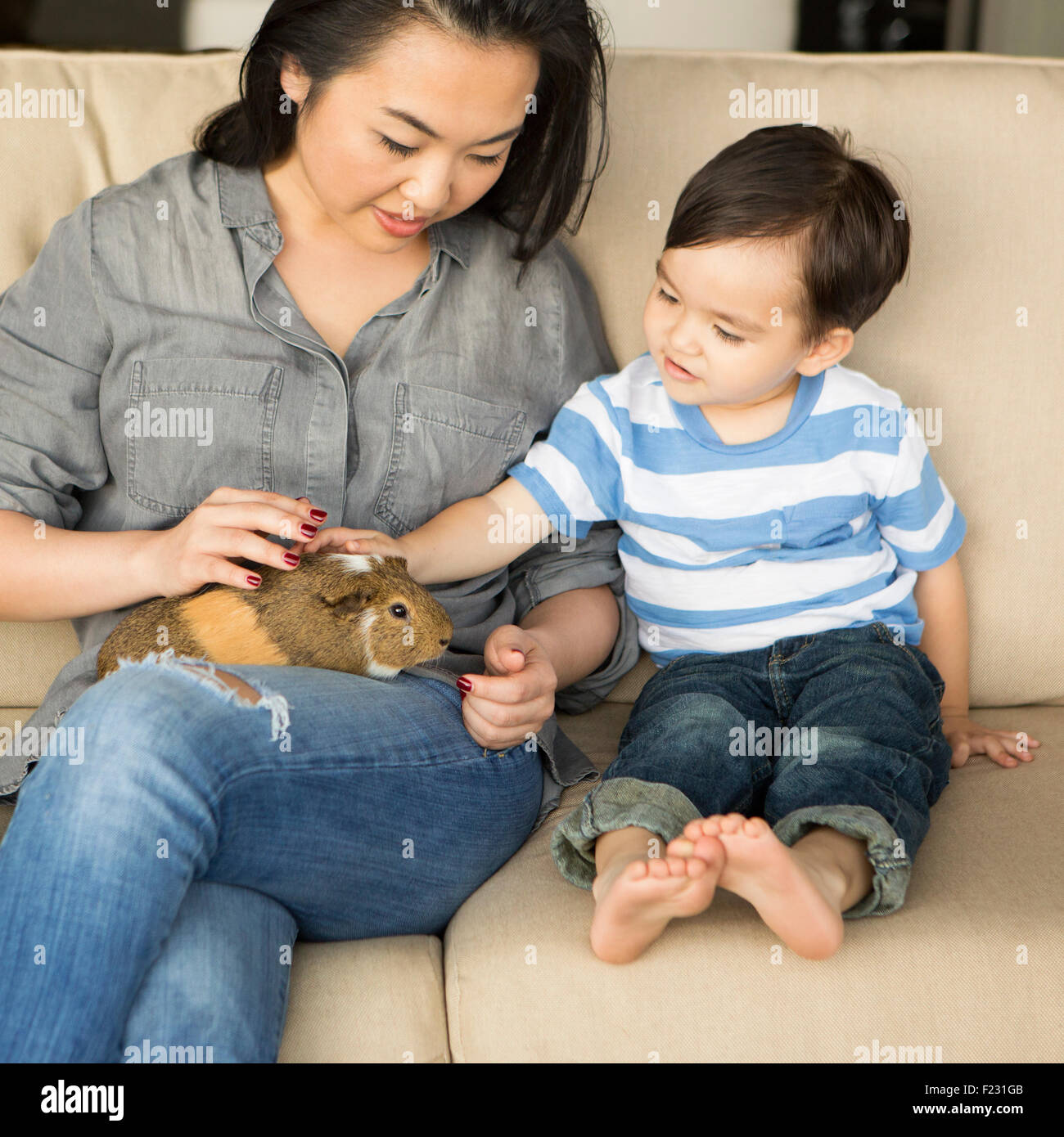 Smiling woman sitting on a sofa, a guinea pig sitting on her lap, her young son stroking the animal. Stock Photo