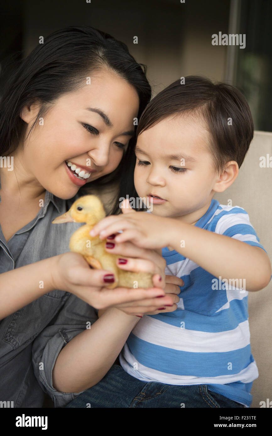 Smiling woman holding a yellow duckling in her hands, her young son stroking the animal. Stock Photo