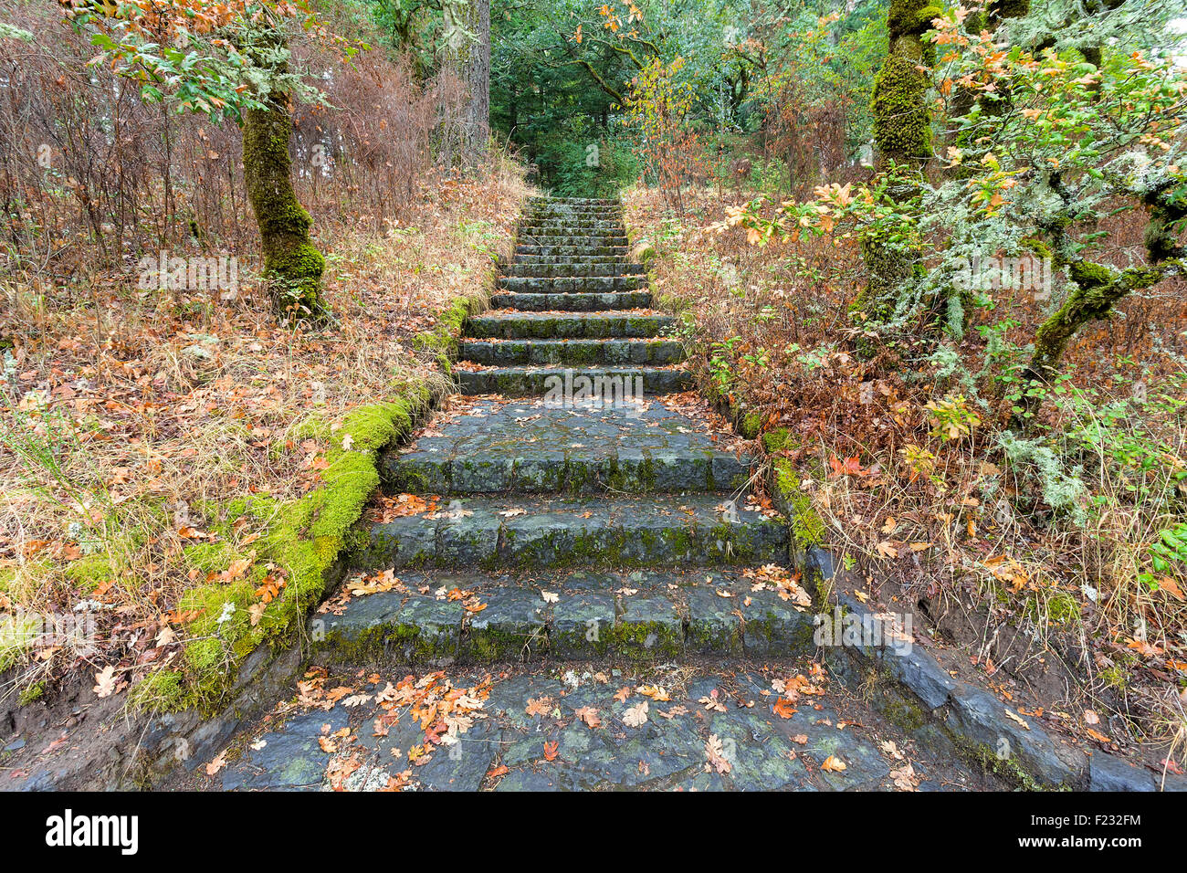 Stone Stairs Steps at Eagle Creek Overlook Hiking Trail in Columbia River Gorge Oregon Stock Photo
