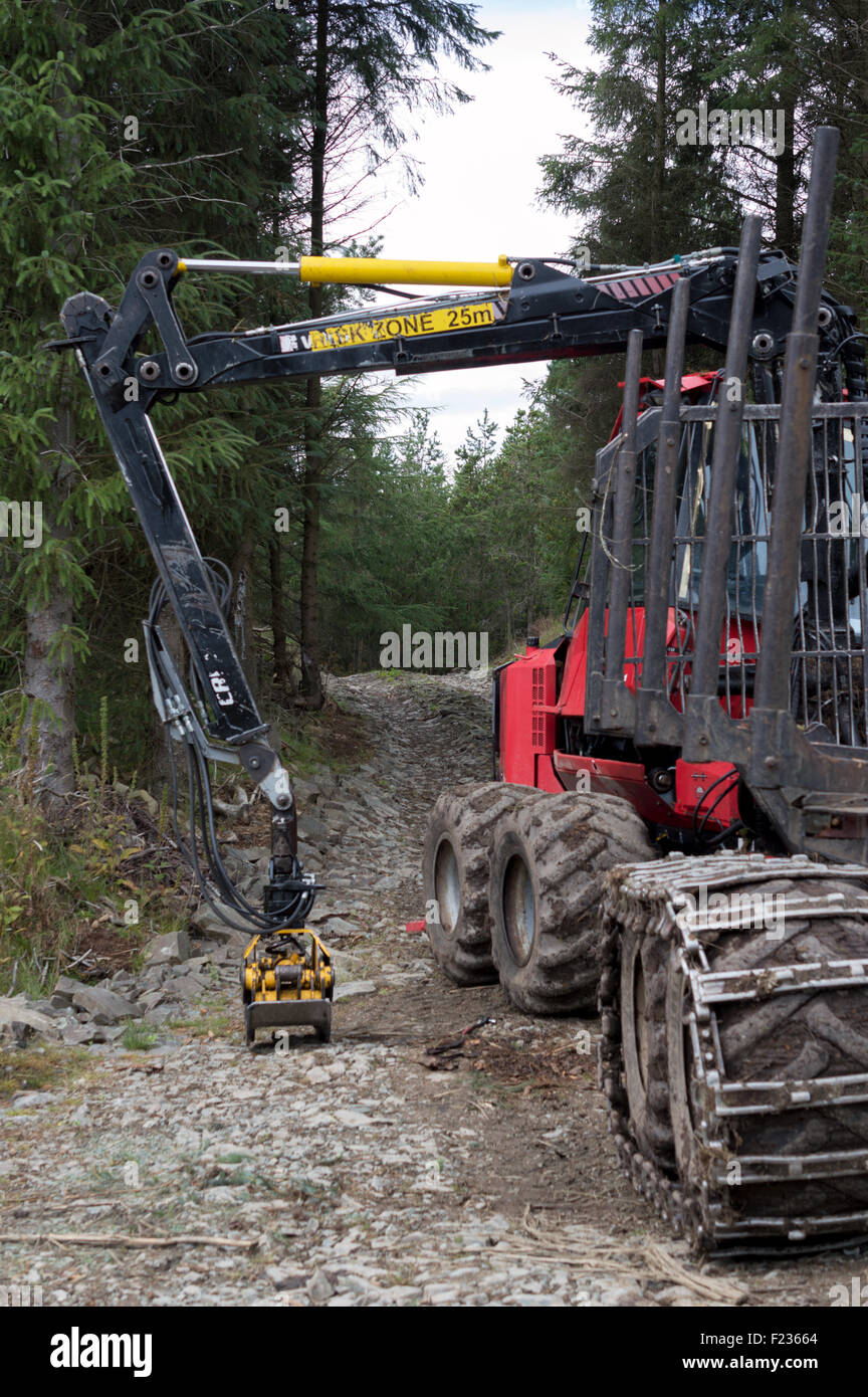 Logging machine in forest Stock Photo