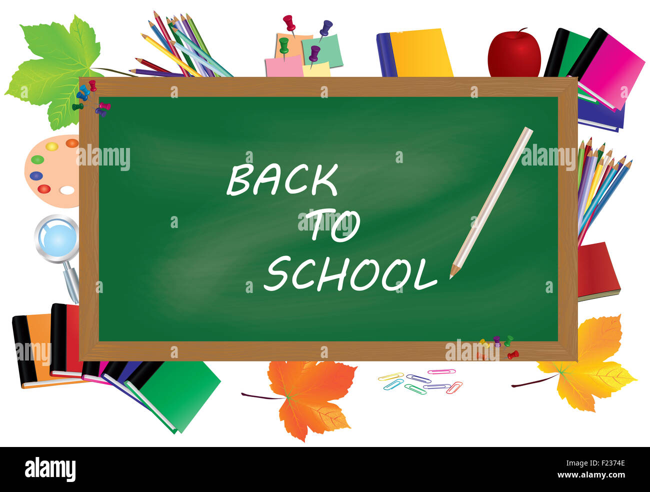 Back to school. Green desk with school supplies and autumn leaves Stock ...