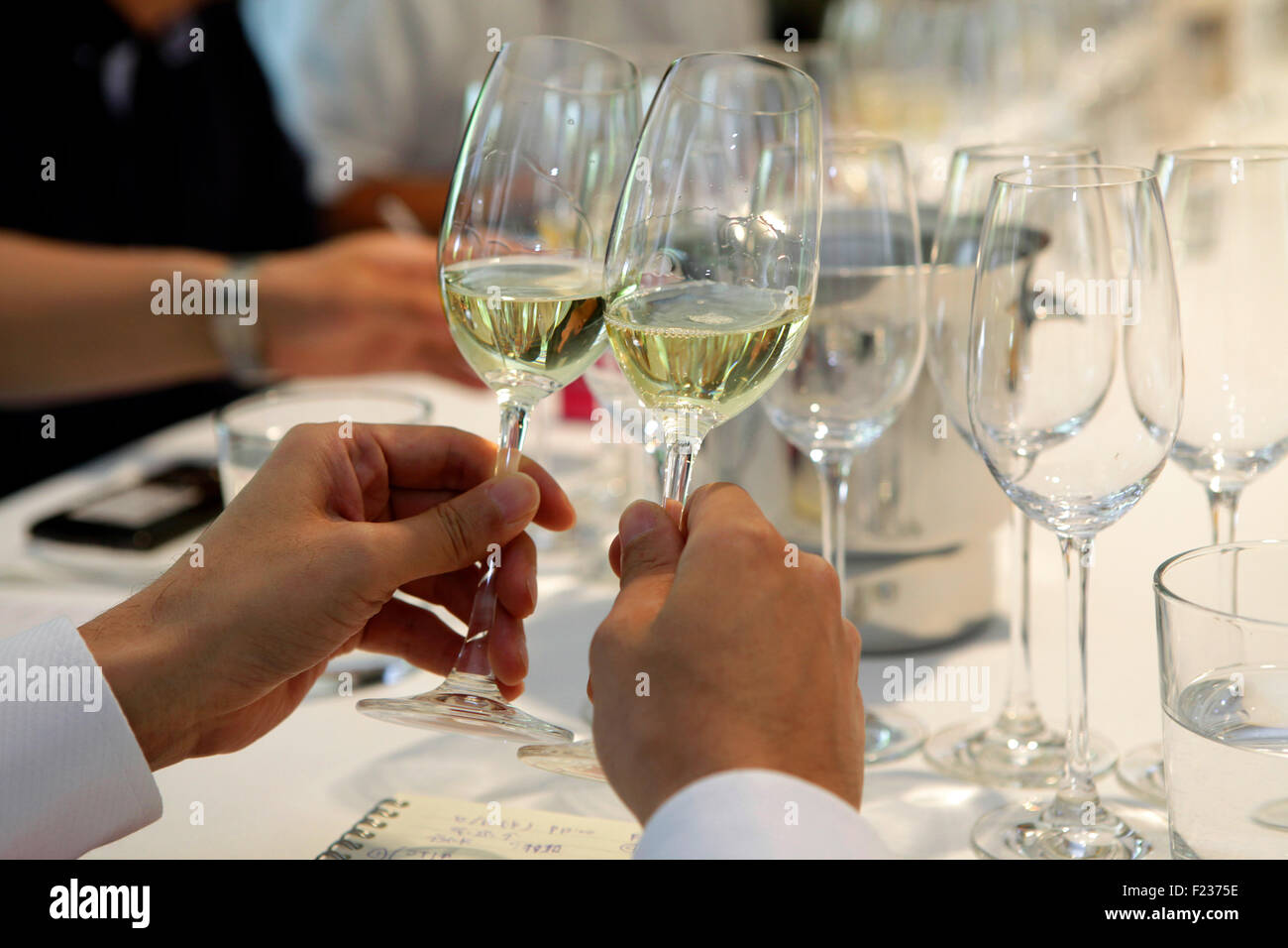 Cava champagne tasting. Stock Photo