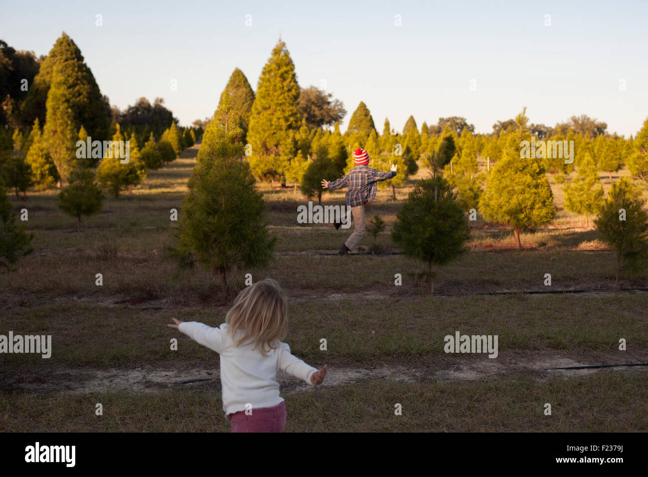 Boy running through forest hi-res stock photography and images - Alamy