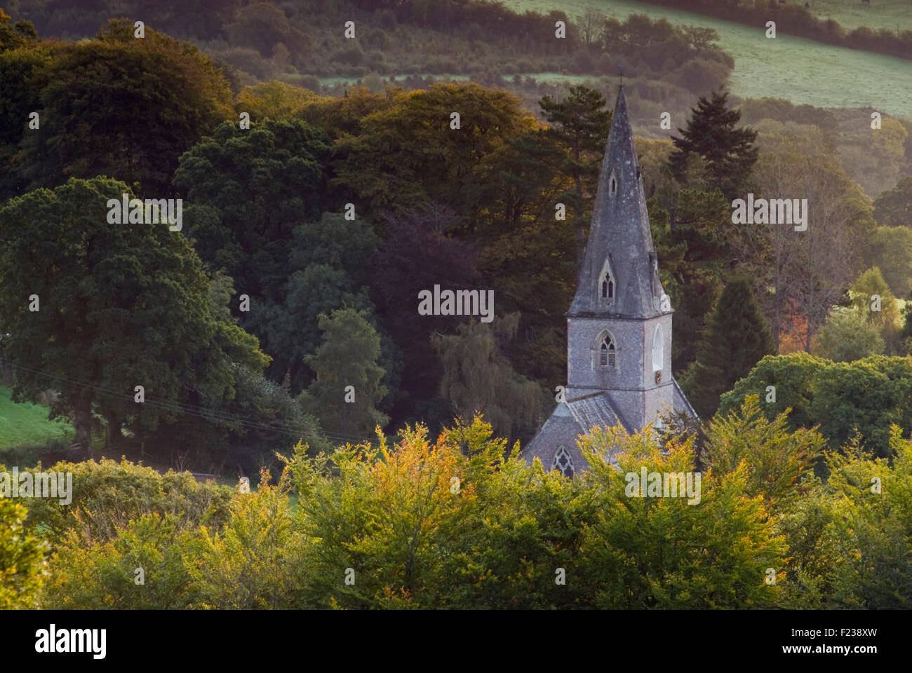 Autumn at Monkton Wyld Church, Dorset, England, UK Stock Photo