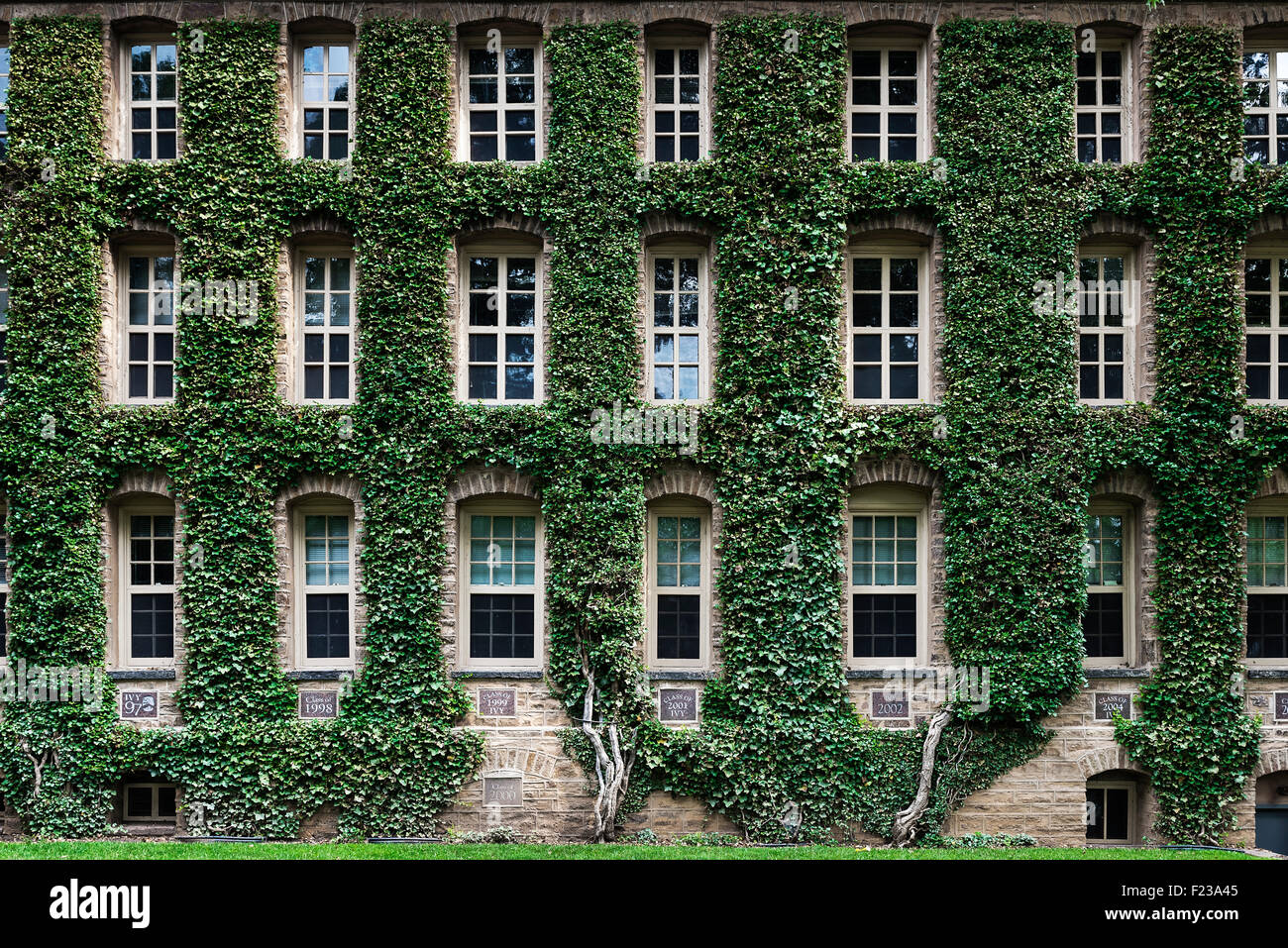 Nassau Hall ivy, Princeton University Campus, Princeton, New Jersey, USA Stock Photo