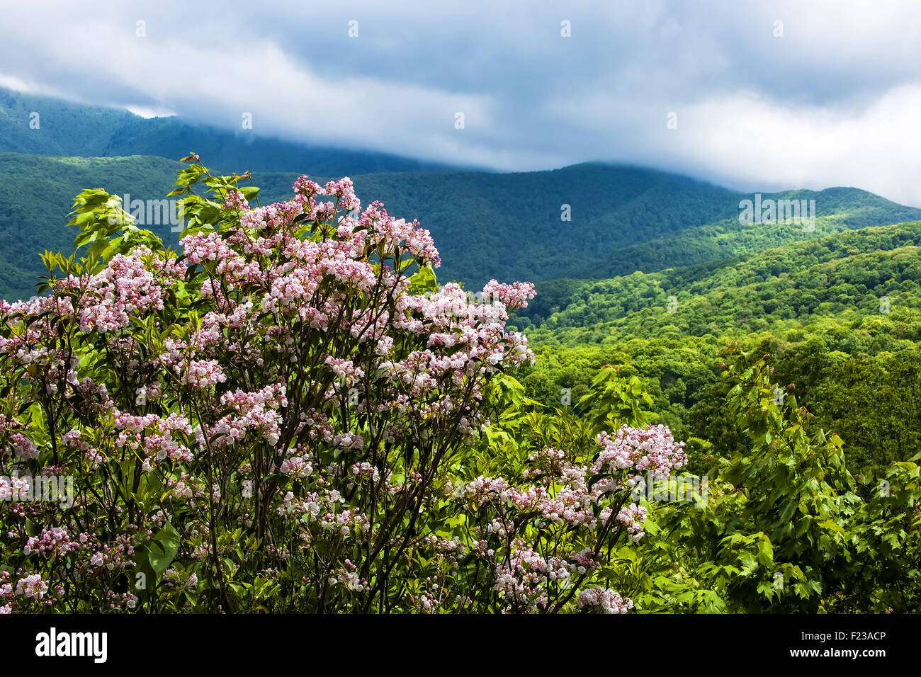 View from the Blue Ridge Parkway of the Smoky and Blue Ridge Mountains in North Carolina. Stock Photo
