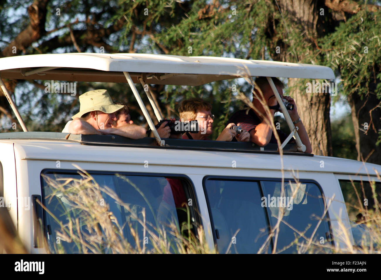 Safari animals photos hi-res stock photography and images - Alamy