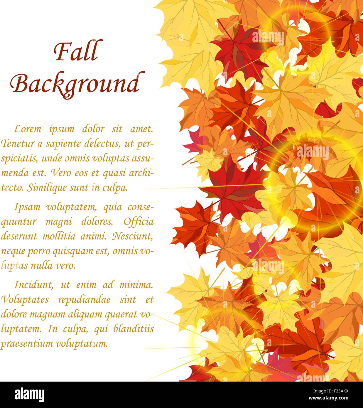 Autumn Frame With Maple Leaves on Branches of Tree Over White ...