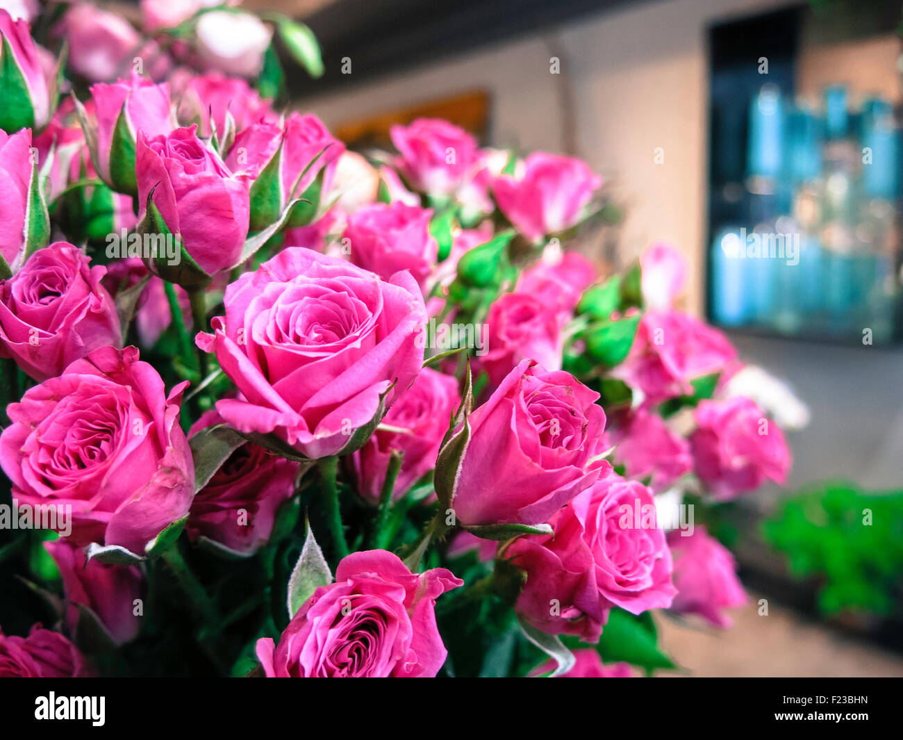 Renny & Reed Florist Interior, NYC Stock Photo Alamy