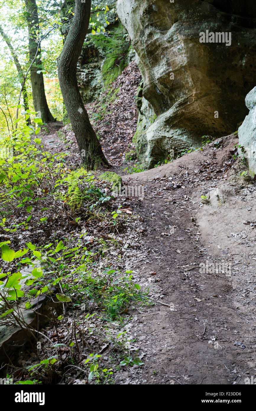 Dirt path along Hemlock Cliffs trail, Hoosier National Forest, English, Indiana Stock Photo