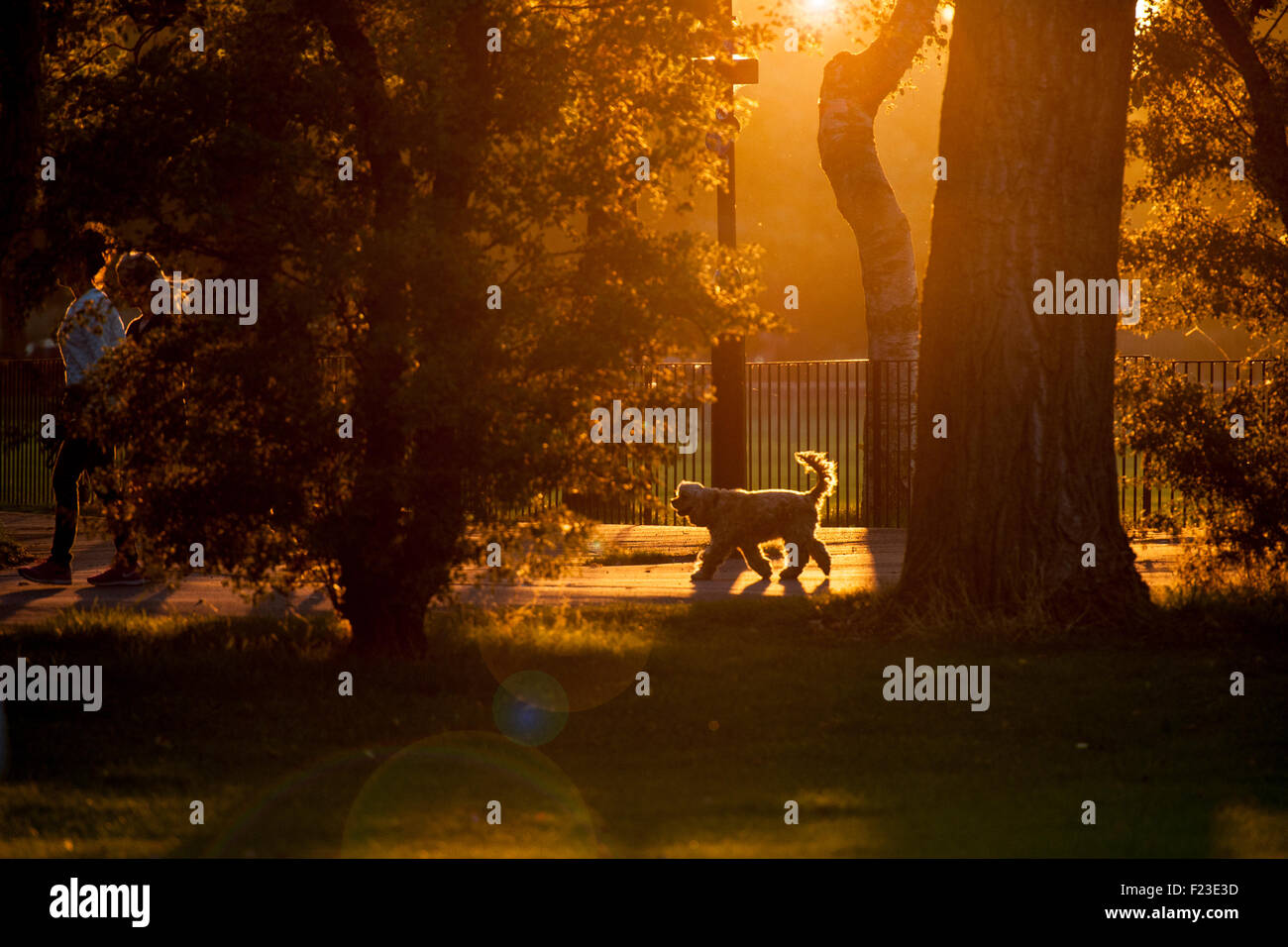 Early morning in a London park Stock Photo
