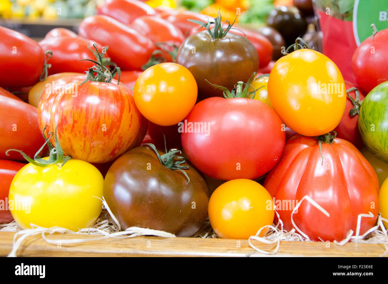 Download Multicolored Tomatoes Yellow Orange Red And Green In A Display Stock Photo Alamy PSD Mockup Templates