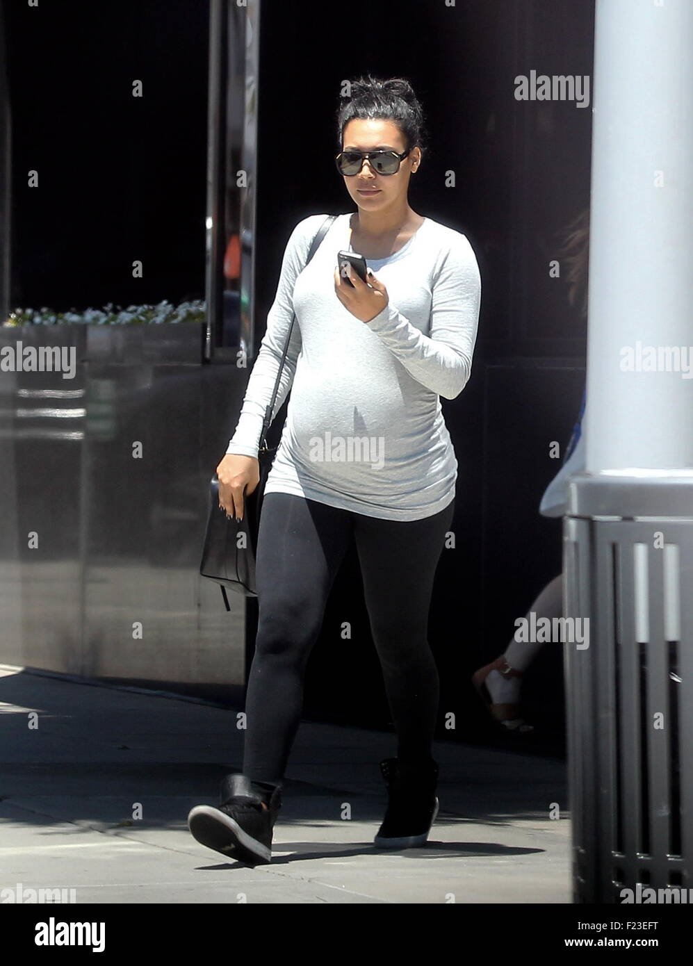 Naya Rivera Pregnant