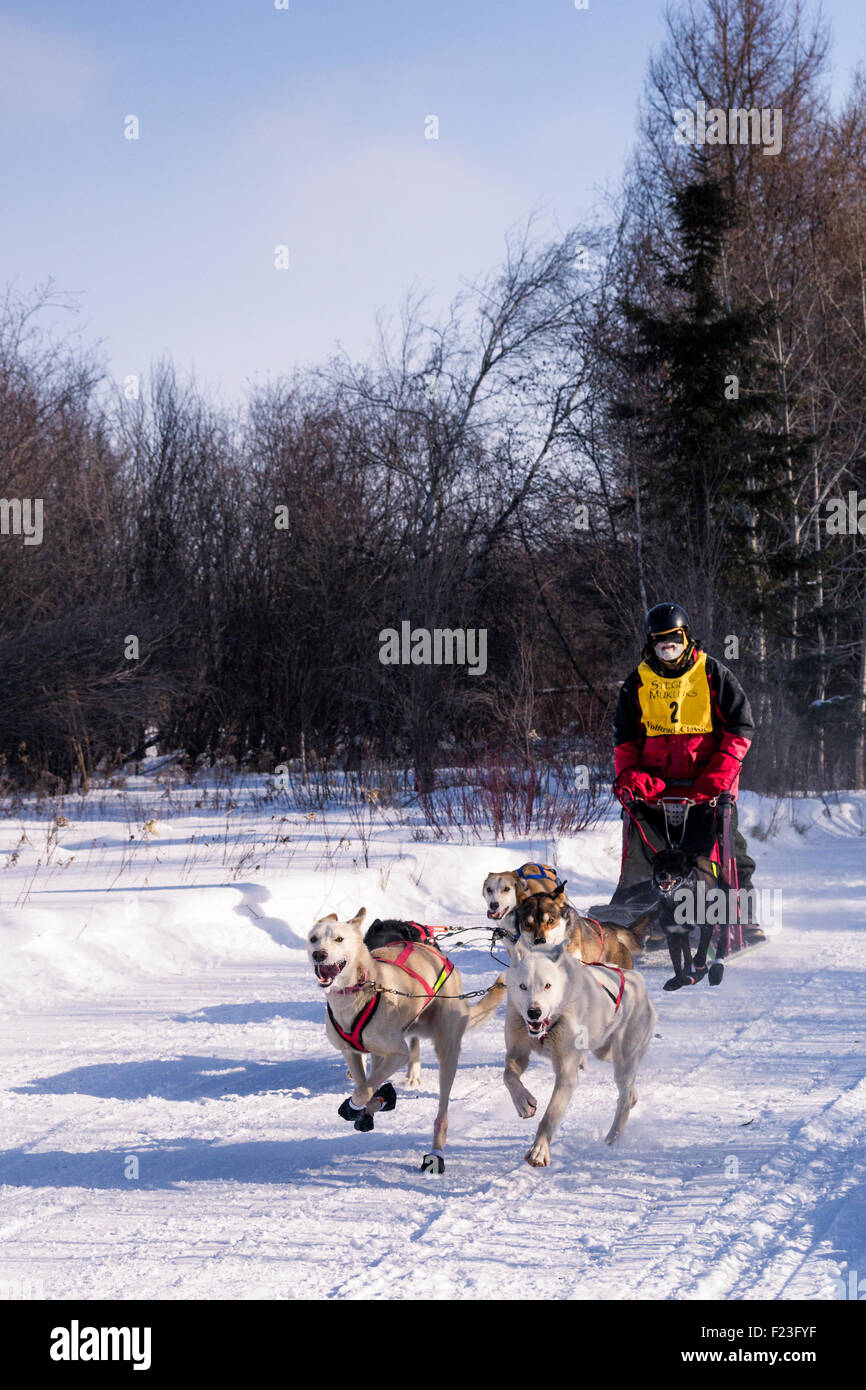 Musher competing in the annual Wolf Track Classic sled dog race, Ely