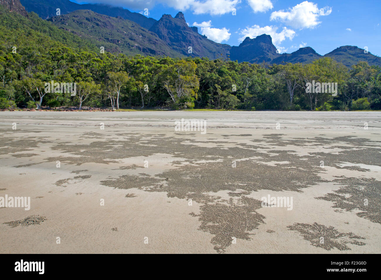 Nina Bay on Hinchinbrook Island Stock Photo Alamy