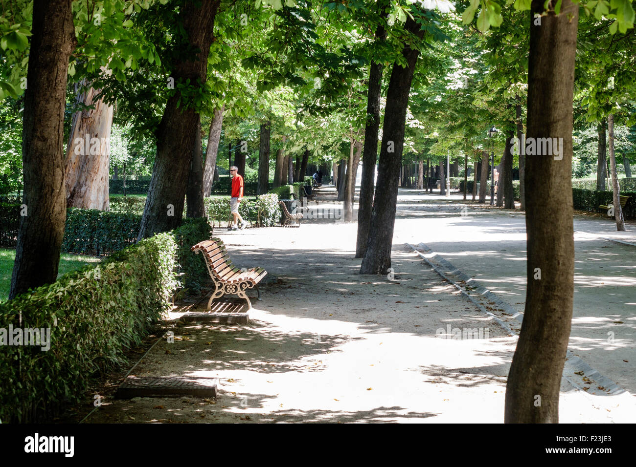 Madrid Spain,Hispanic Retiro,Parque del Buen Retiro,Buen Retiro Park,city,Hispanic man men male,walking,trees,Spain150630040 Stock Photo