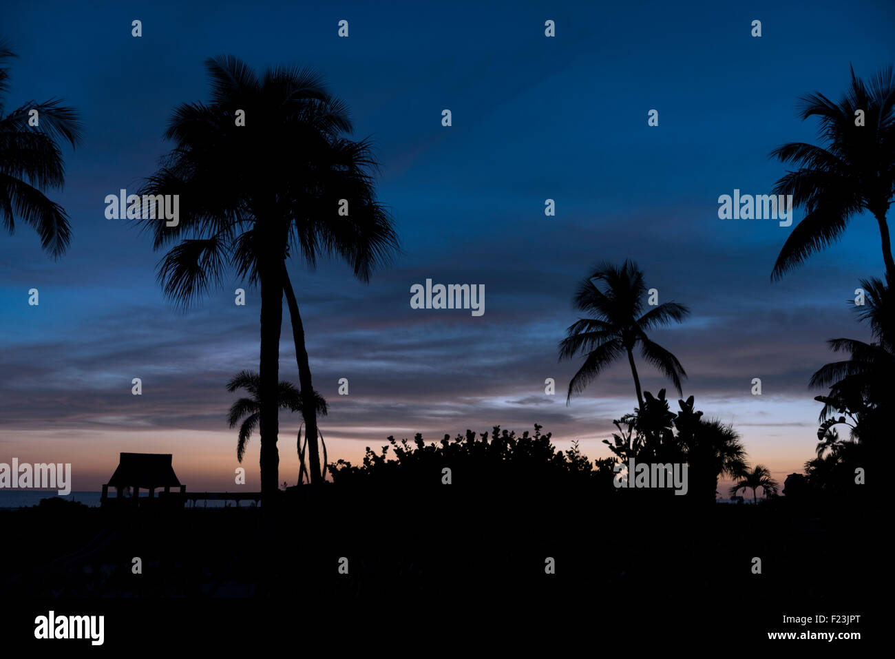 Sunset with tree silhouette hi-res stock photography and images - Alamy